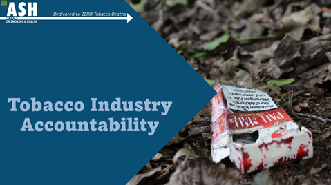 Tobacco Industry Accountability