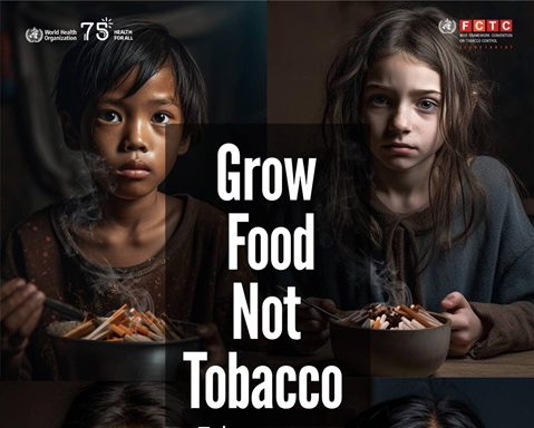 Tobacco farming threatens food security: myth or truth?