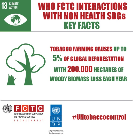 WHO FCTC interactions with non health SDGs, Climate action