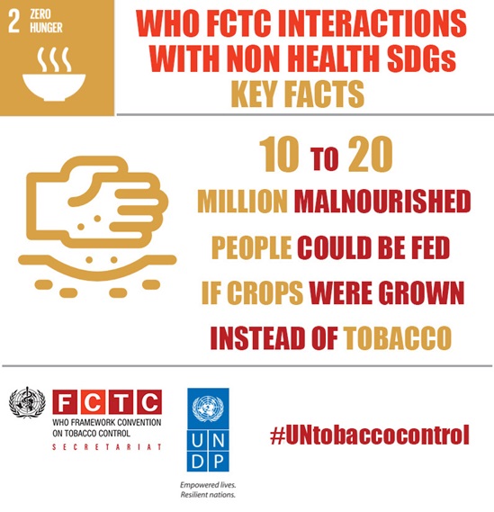 WHO FCTC interactions with non health SDGs, Zero hunger