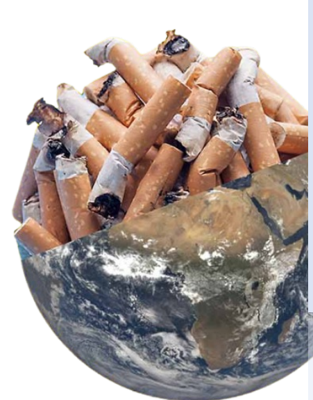 Environmental impact of the tobacco supply chain what can the WHO FCTC COP do?