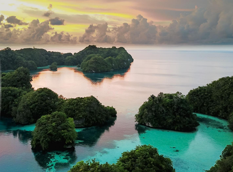 Palau - Implementing WHO FCTC Article 18