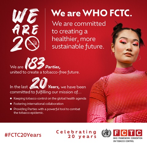 20 year anniversary infographic