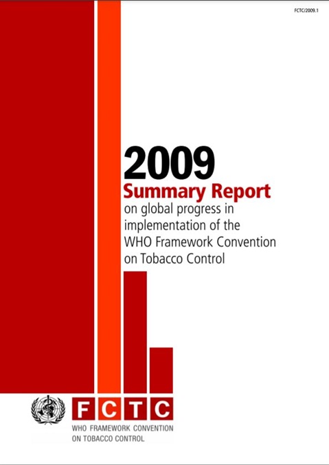 2009 Global progress report