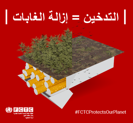 Smoking = Deforestation Tobacco and the environment