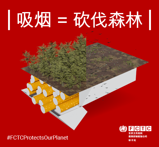 Tobacco and the environment