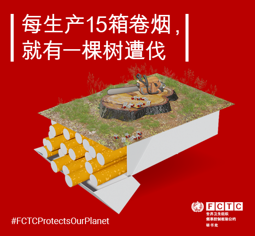 Tobacco and the environment