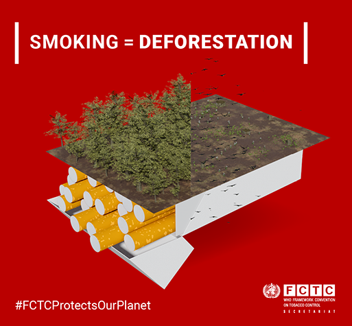 Smoking = Deforestation Tobacco and the environment