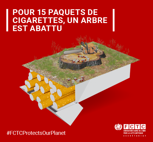 Tobacco and the environment