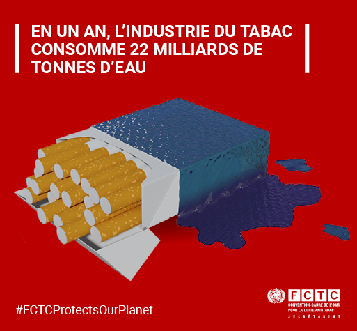 Tobacco and the environment