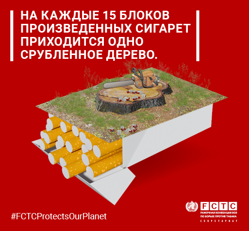 Tobacco and the environment