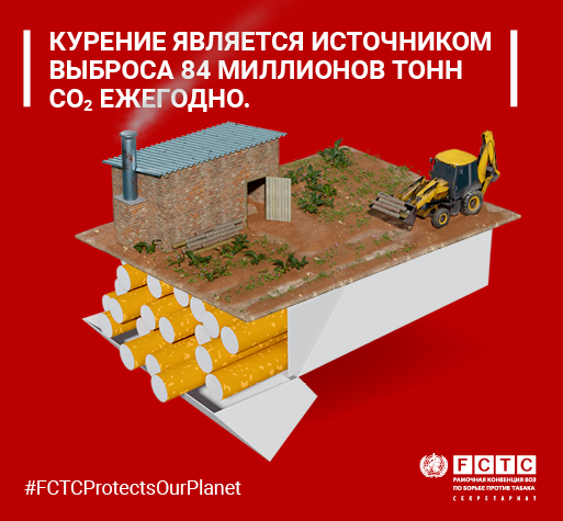 Tobacco and the environment