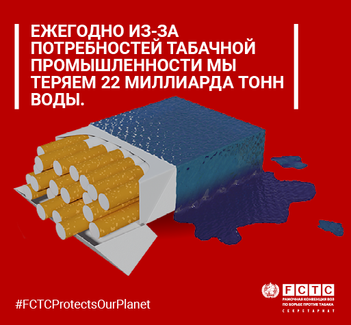 Tobacco and the environment