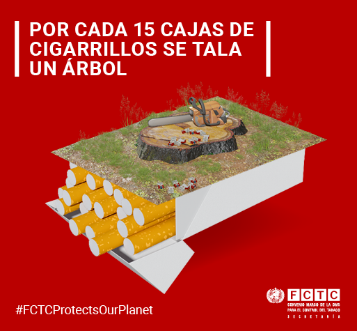 Tobacco and the environment