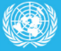 un-cop-observer