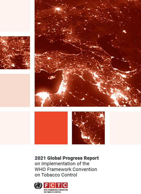 2021 GLOBAL PROGRESS REPORT